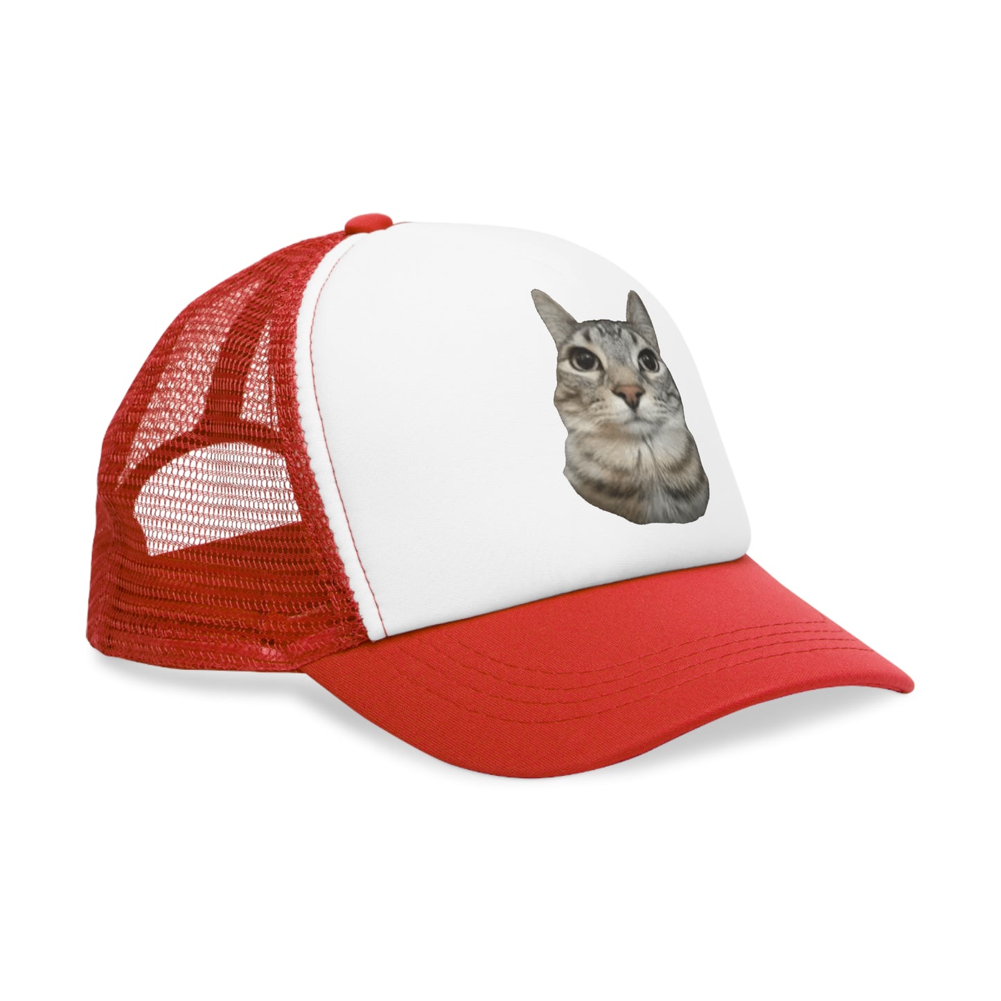 Cat Stare Mesh Cap