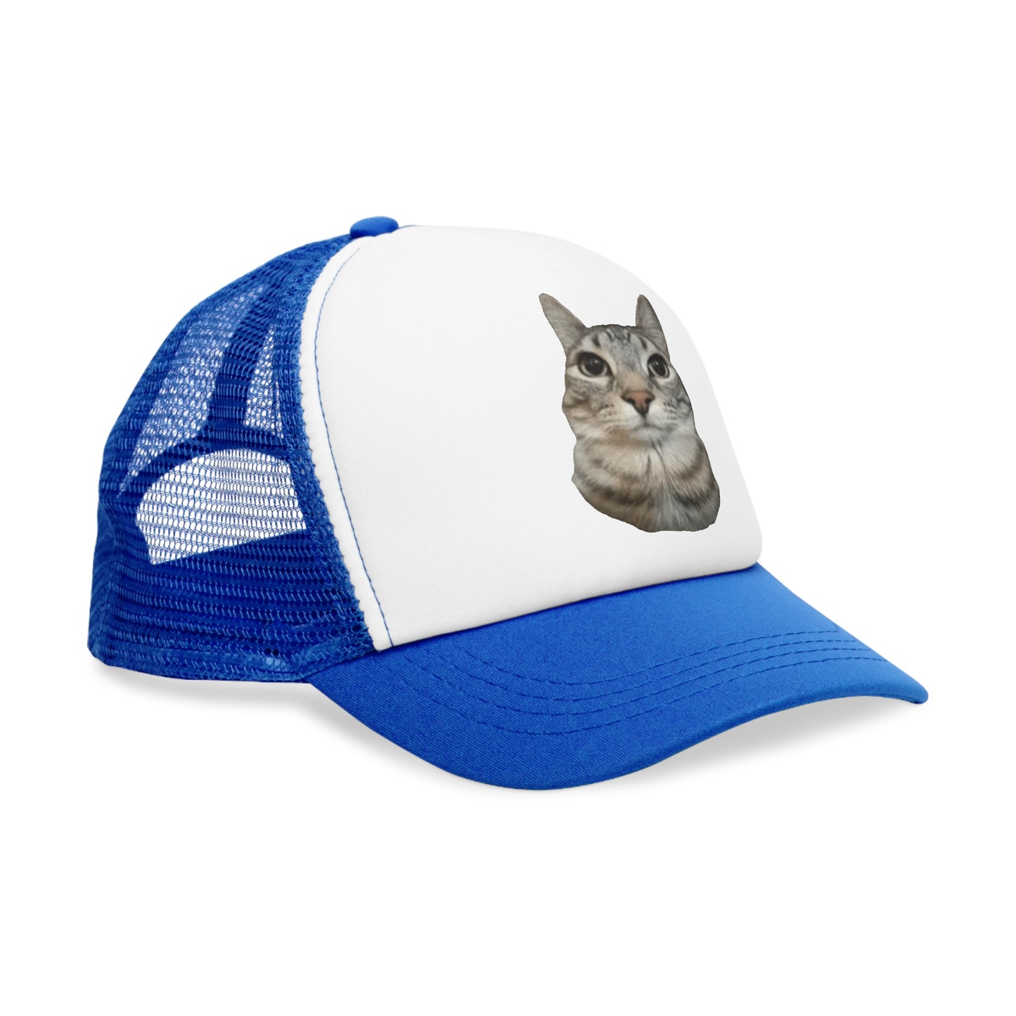 Cat Stare Mesh Cap