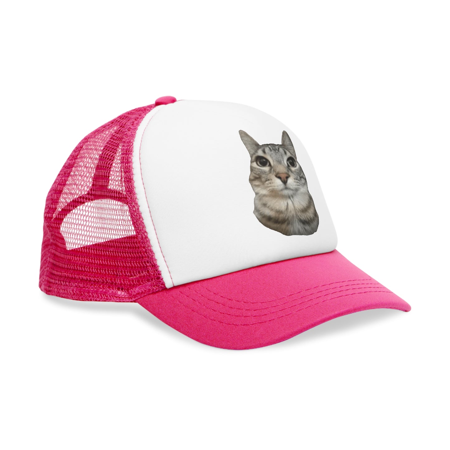 Cat Stare Mesh Cap