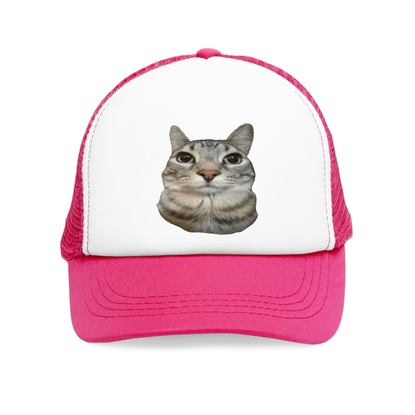 Cat Stare Mesh Cap