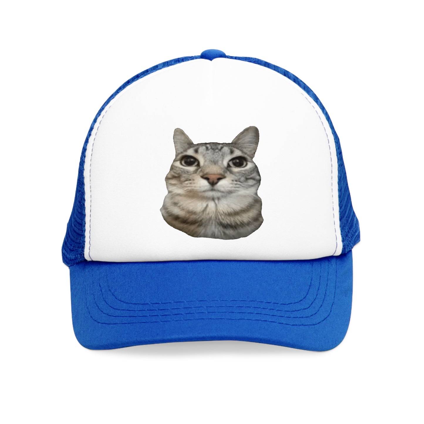 Cat Stare Mesh Cap