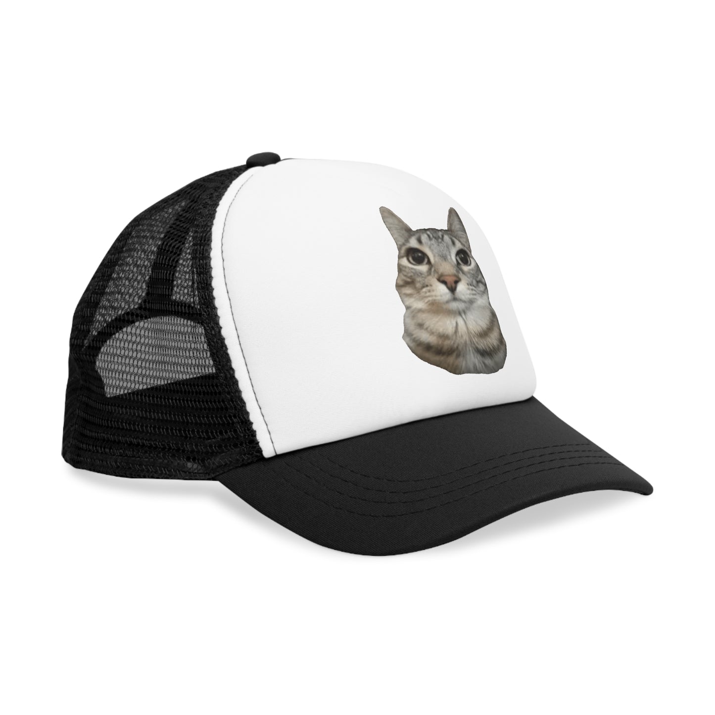 Cat Stare Mesh Cap